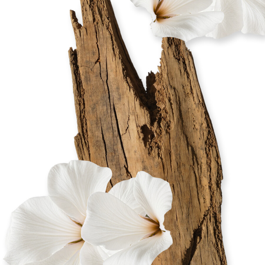 valaya crema para el cuerpo de recarga
– parfums de marly